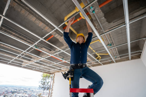 Best Local Plumber Services  in Rockwall, TX